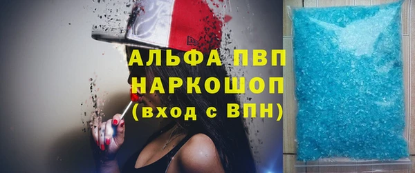 индика Алзамай