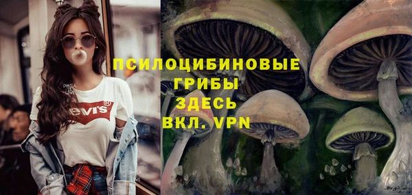 spice Алексин