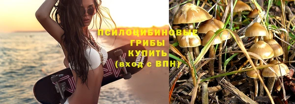 spice Алексин
