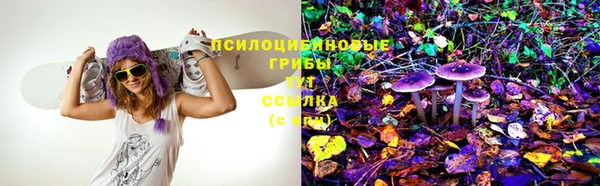 spice Алексин