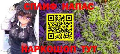 кокс Бийск