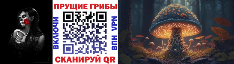 Галлюциногенные грибы Psilocybine cubensis  Гусь-Хрустальный 