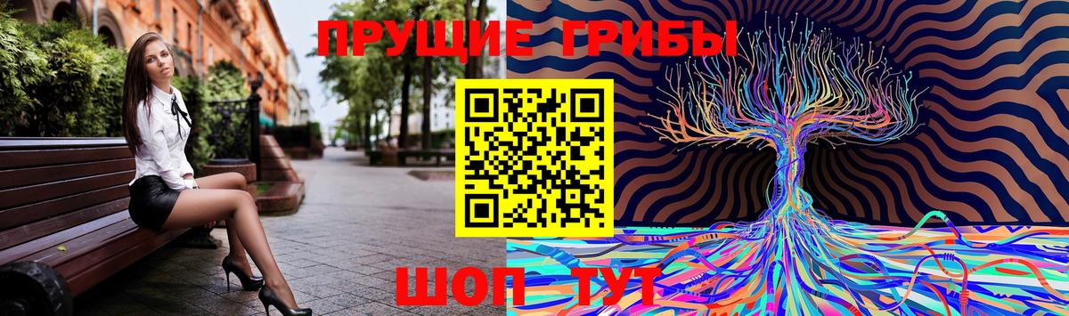 Галлюциногенные грибы Psilocybe  Псилоцибиновые грибы мицелий  Гусь-Хрустальный  Вход с VPN 