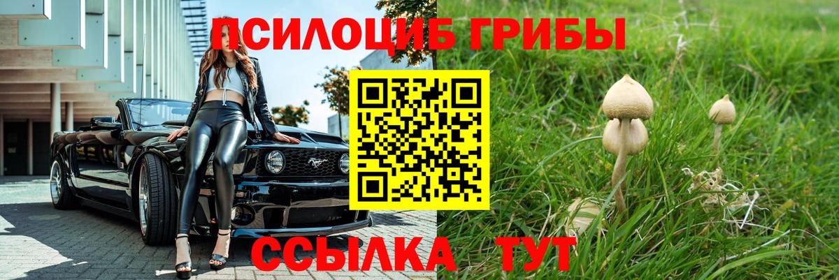 Галлюциногенные грибы прущие грибы Гусь-Хрустальный